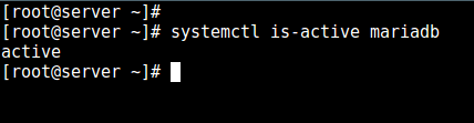 检查 MysQL 状态
