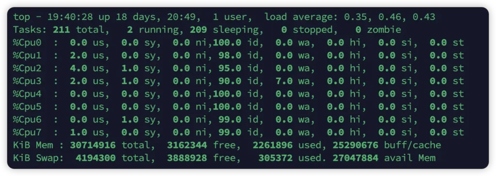 Top Command CPU Use rate