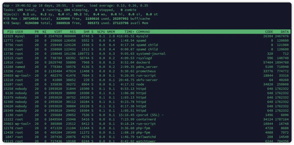 显示“CODE”和“DATA”