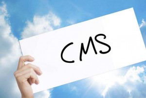 CMS模板建站主要适合哪些行业